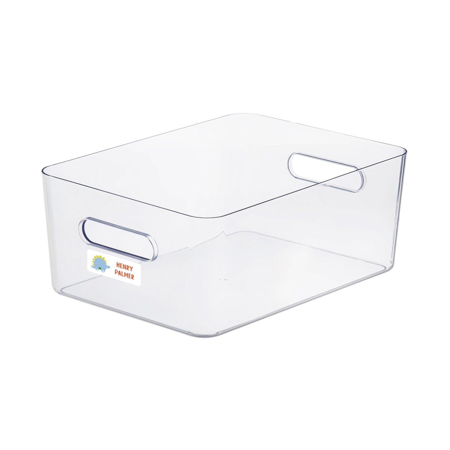 stegasaurus dino vinyl school labels