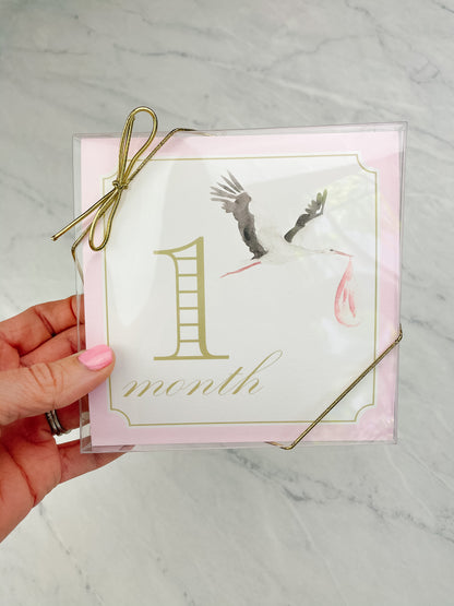classic girl milestone cards