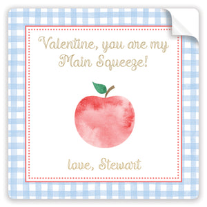 you're my main squeeze blue valentine stickers